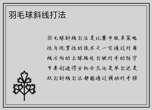 羽毛球斜线打法