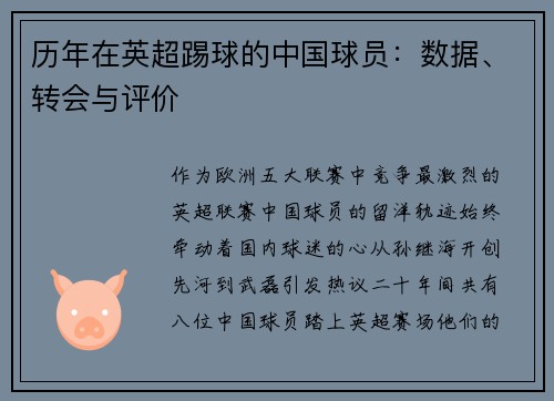 历年在英超踢球的中国球员：数据、转会与评价